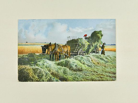 D204242