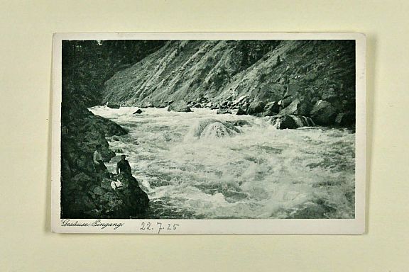 D205607