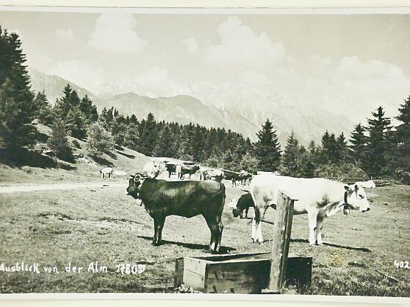 D205017