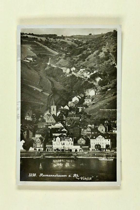 D205629