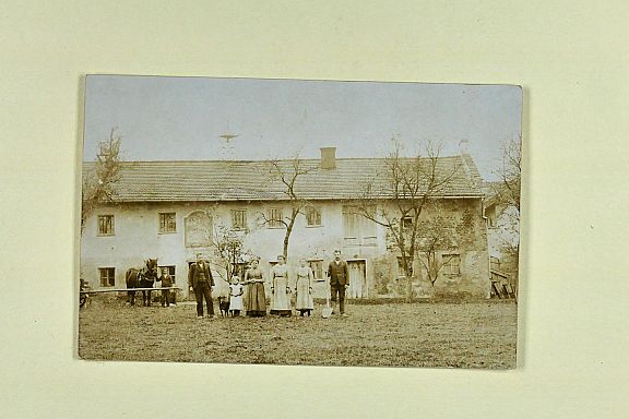 D205565