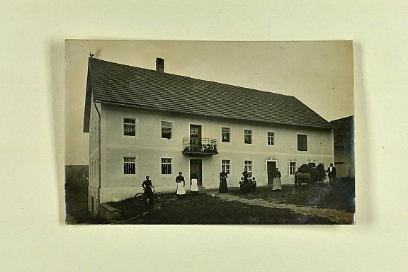 D205567