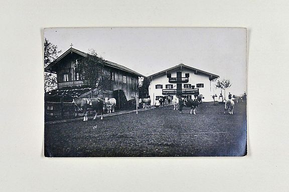 D205569