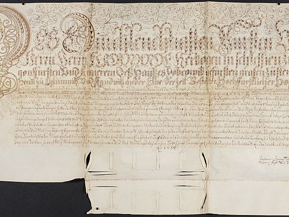 D258871