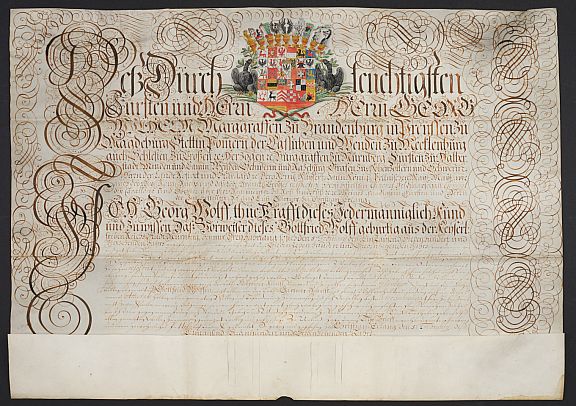 D261153