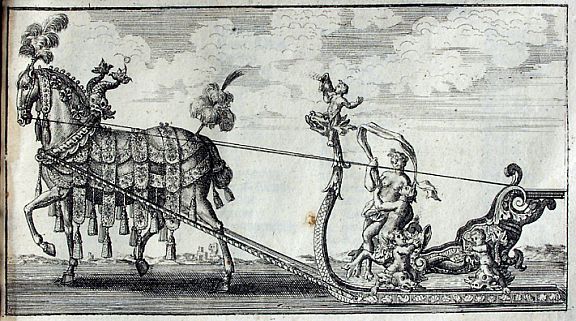 D17213