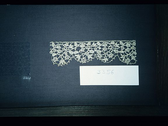 D91955