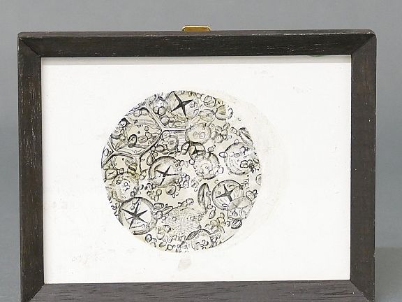 D299263